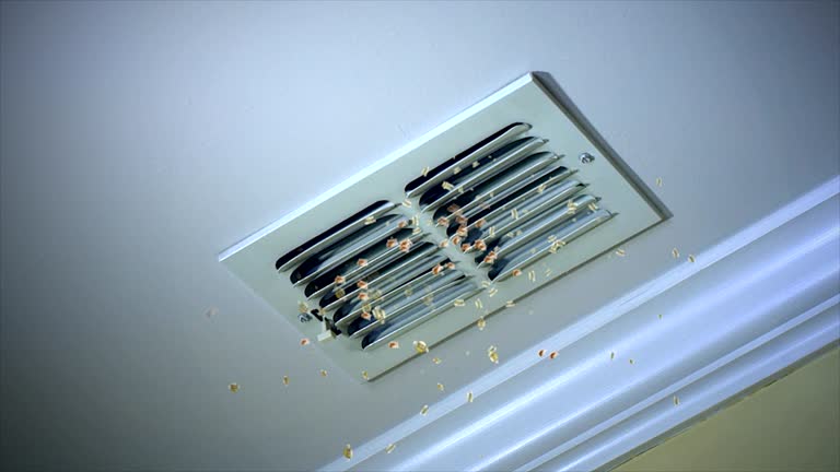 Home Air Vent Cleaning in Harrison, MI